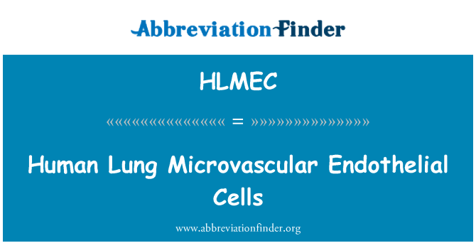 HLMEC: انسانی پھیپھڑوں Microvascular اندوٹہیلاال سیل