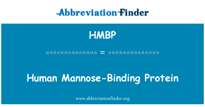 HMBP: Menneskelige Mannose-bindende Protein