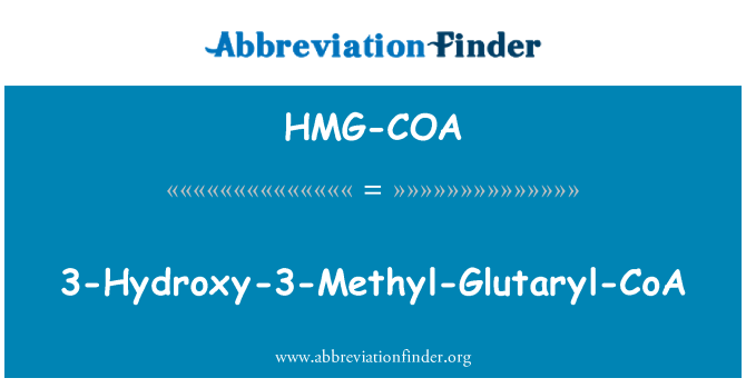 HMG-COA: 3-Hydroxy-3-Methyl-Glutaryl-CoA
