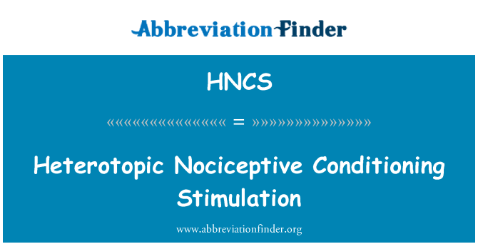 HNCS: 异位的痛觉调节刺激