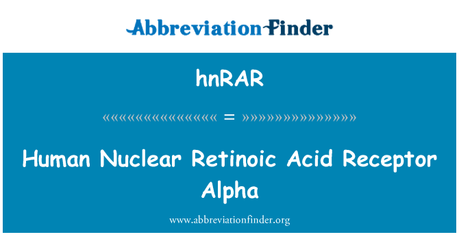 hnRAR: मानव परमाणु को Retinoic एसिड रिसेप्टर अल्फा