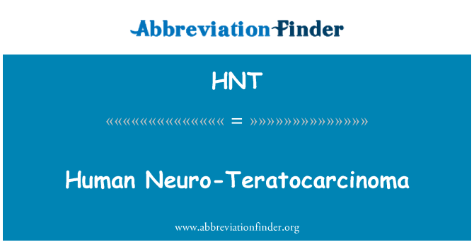 HNT: Człowieka Neuro-Teratocarcinoma