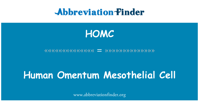 HOMC: الخلايا Mesothelial الثرب البشري