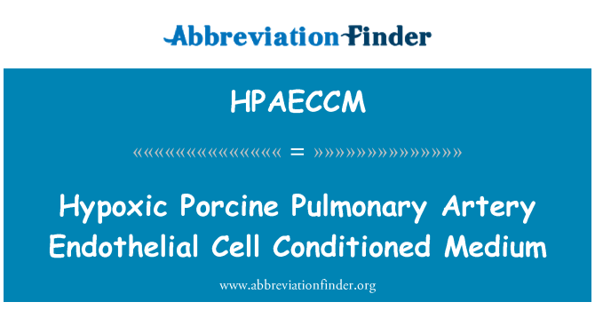 HPAECCM: Hypoxic Artery tal-majjali Pulmonary taċ-ċelloli Endothelial kkondizzjonata medju