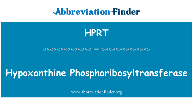 HPRT: Hypoxanthin-Phosphoribosyltransferase