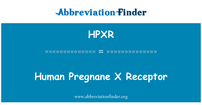 HPXR: Moun Pregnane X Récepteurs