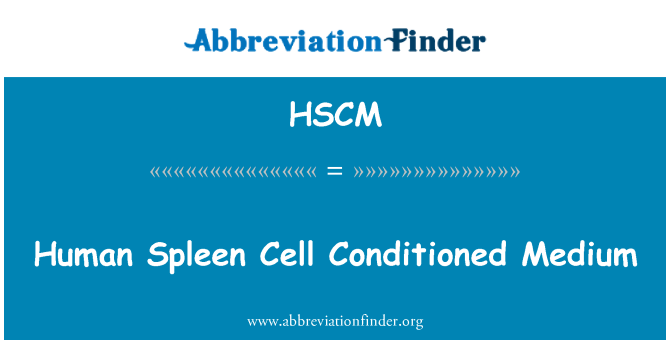 HSCM: मानव तिल्ली सेल वातानुकूलित मध्यम