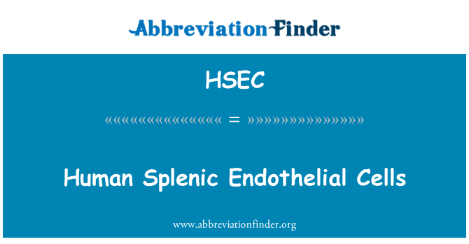 HSEC: Sel-sel endotel limpa manusia