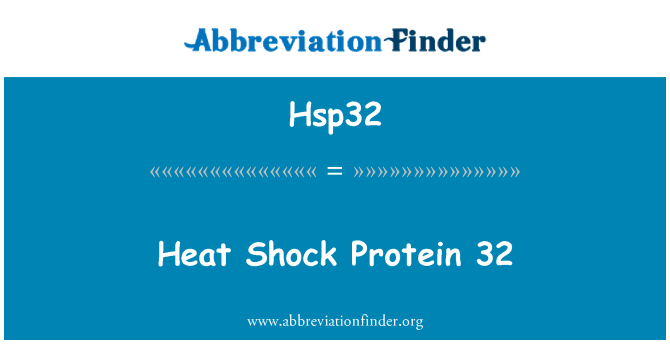 Hsp32: Heat Shock Protein 32