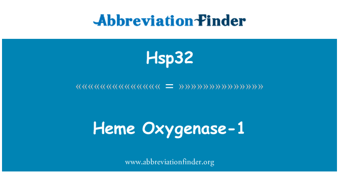 Hsp32: Heme Oxygenase-1