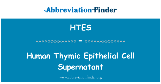 HTES: Is-Supernatant ċellula Epithelial Thymic mill-bniedem