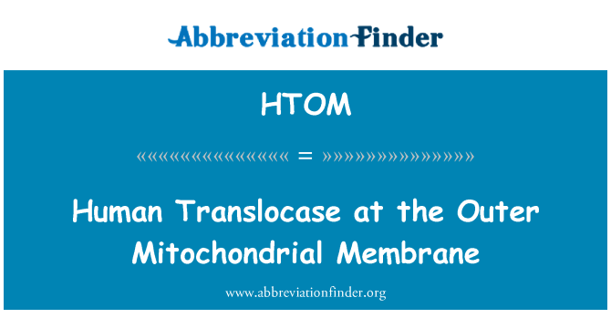 HTOM: Translocase มนุษย์ที่เยื่อ Mitochondrial นอก