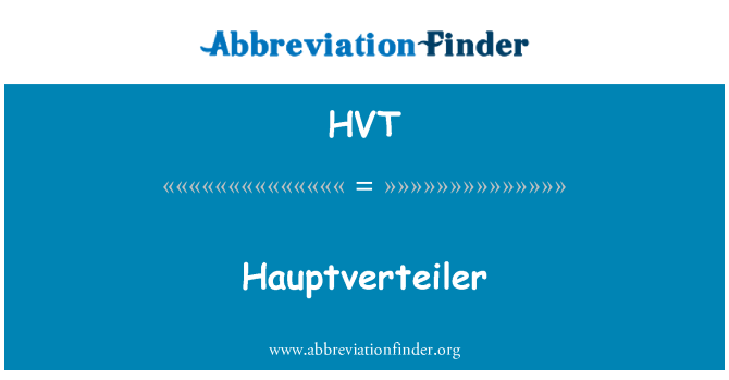 HVT: Hauptverteiler