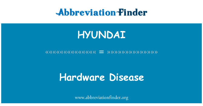 HYUNDAI: Hardware Disease