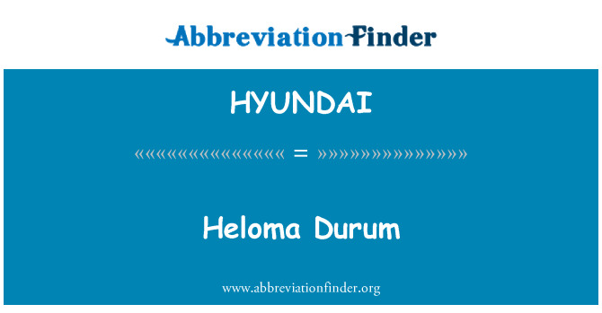 HYUNDAI: Heloma caled