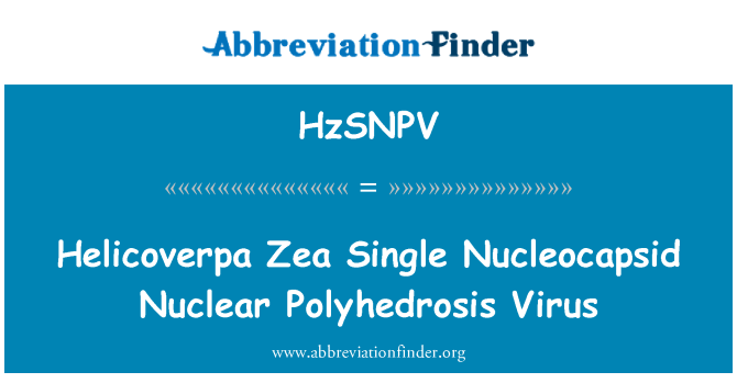 HzSNPV: Helicoverpa Zea enkelt Nucleocapsid kjernefysiske Polyhedrosis Virus