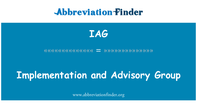 IAG: Implementation and Advisory Group