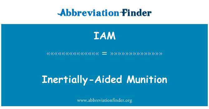 IAM: ช่วย inertially Munition