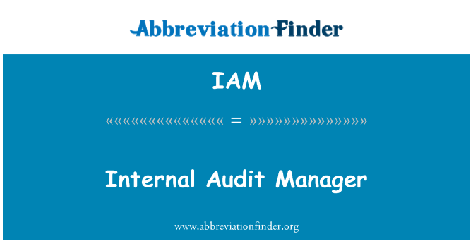 IAM: Internal Audit Manager