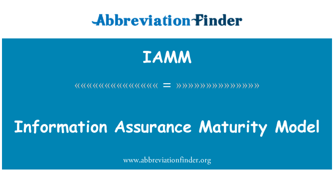 IAMM: 정보 보증 성숙도 모델