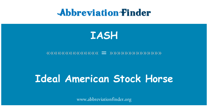 IASH: Idealna American Stock konj