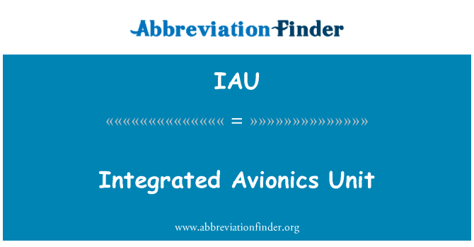 IAU: Entegre Aviyonik birimi