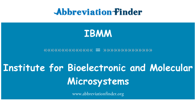 IBMM: Viện Bioelectronic và phân tử Microsystems