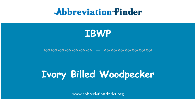 IBWP: Ivorju ddebitat Woodpecker