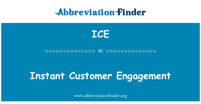 ICE: Instant Customer Engagement