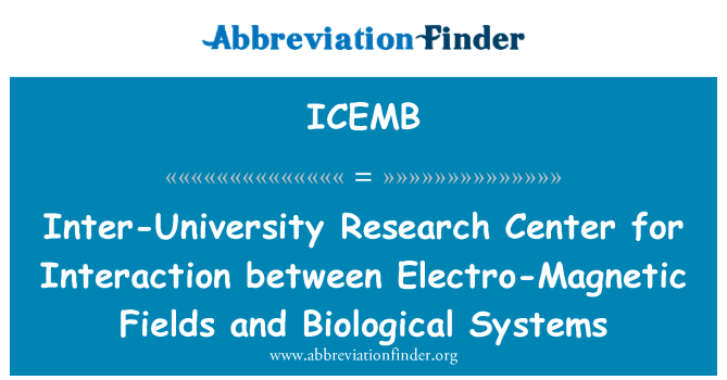 ICEMB: 电磁场与生物系统相互作用间大学研究中心