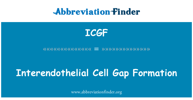 ICGF: Interendothelial Cell Gap Formation