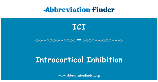 ICI: Intracortical inhibice