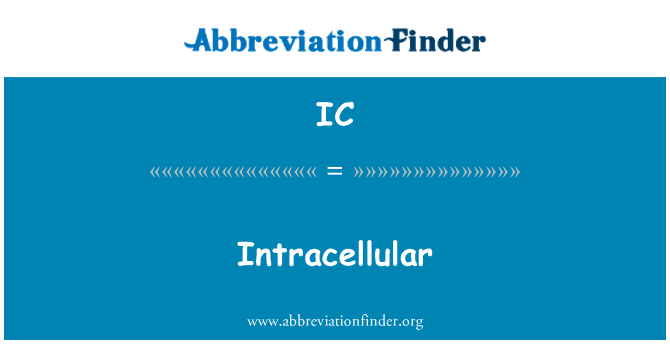 IC: Intracellulaire