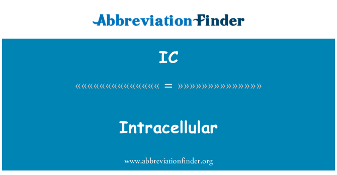 IC: 胞内