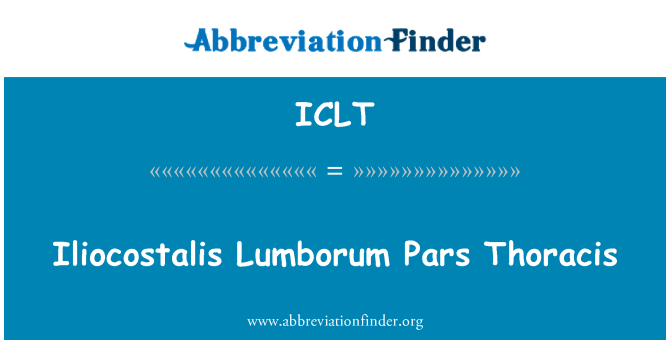 ICLT: Mae Iliocostalis Lumborum yn Pars Thoracis