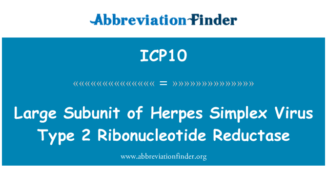 ICP10: Store delenhet av Herpes Simplex Virus Type 2 Ribonucleotide reduktase