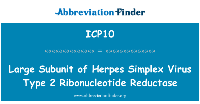 ICP10: ย่อยขนาดใหญ่ของเริมไวรัสชนิด 2 Ribonucleotide Reductase