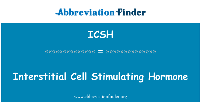 ICSH: หลากเซลล์กระตุ้นฮอร์โมน
