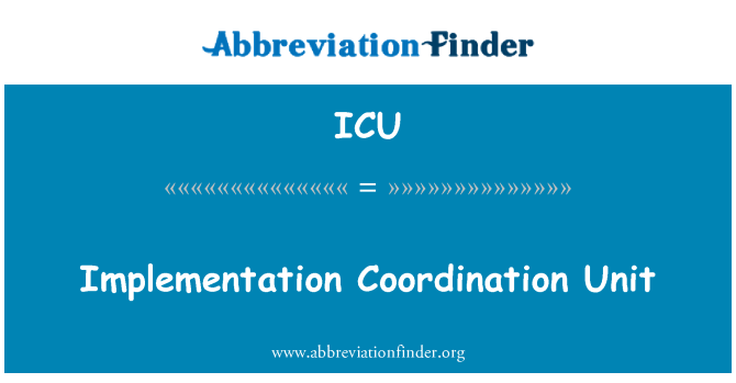 ICU: Implementation Coordination Unit