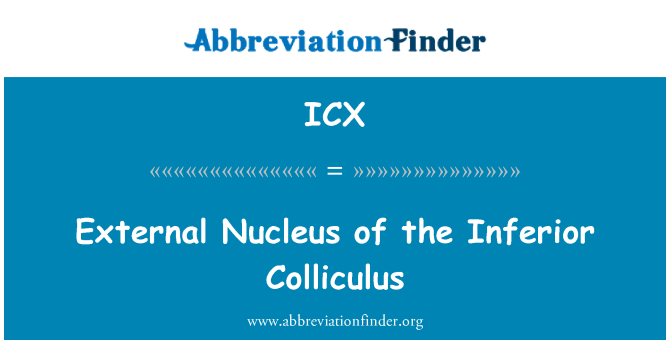ICX: Nucleo esterno del Collicolo inferiore