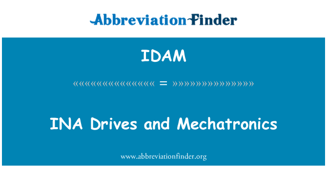 IDAM: INA unità e meccatronica