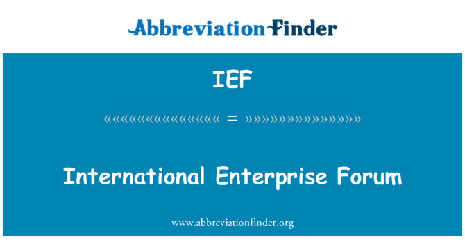 IEF: Internationalen Unternehmen Forum