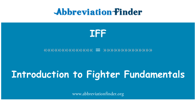 IFF: آشنايي با اصول جنگنده