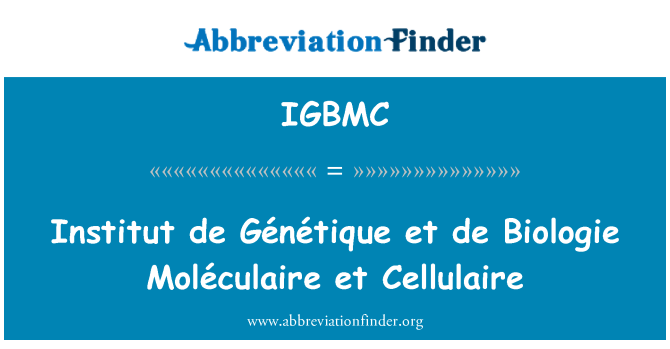 IGBMC: Institut de Génétique et de Biologie Moléculaire et Cellulaire