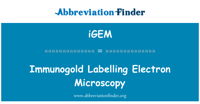 iGEM: Immunogold t-tikkettjar mikroskopija