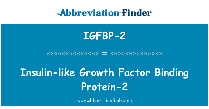 IGFBP-2: Insuliini sarnane kasvufaktor siduva valgu-2