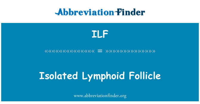 ILF: Isolerade lymfoida follikeln