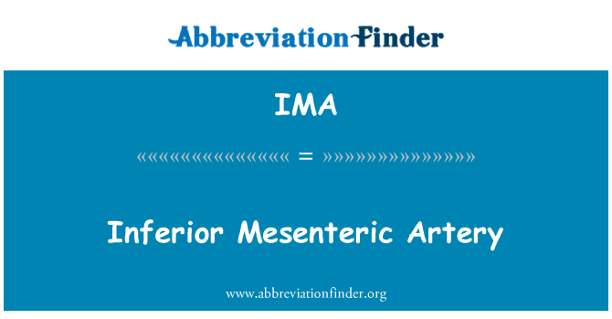 IMA: Artery mesenteriċi inferjuri