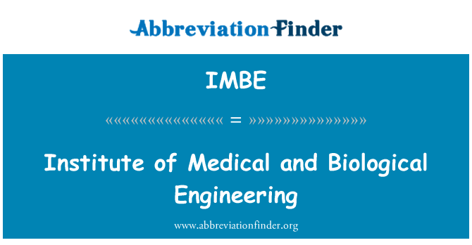 IMBE: Institute of Medical and Biological Engineering