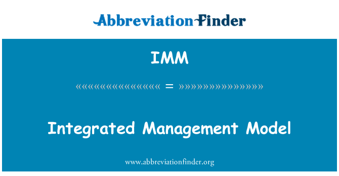 IMM: Integrierte Management-Modell